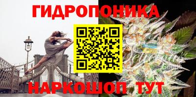 крисы Ливны