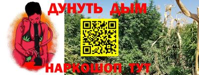 крисы Ливны