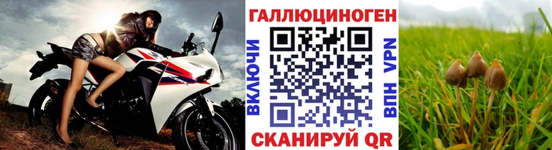 Псилоцибиновые грибы Cubensis  гидра tor  Октябрьский  наркота 