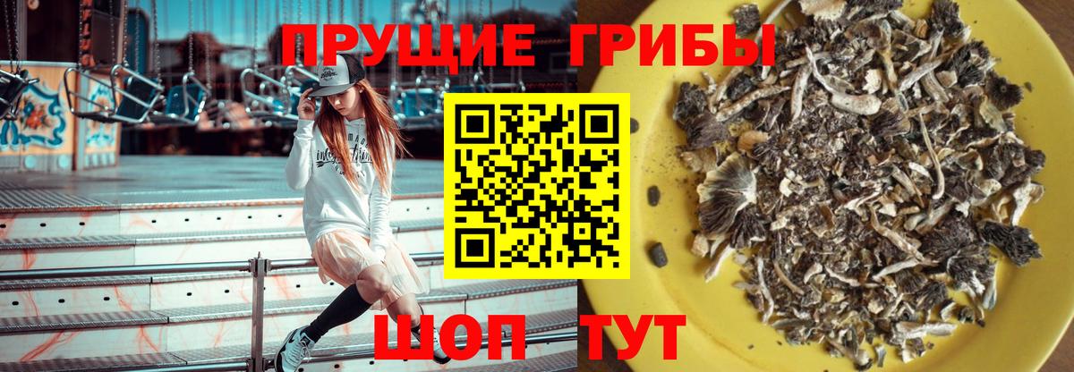 Галлюциногенные грибы Cubensis  Вход с VPN  Псилоцибиновые грибы Psilocybe  Октябрьский 