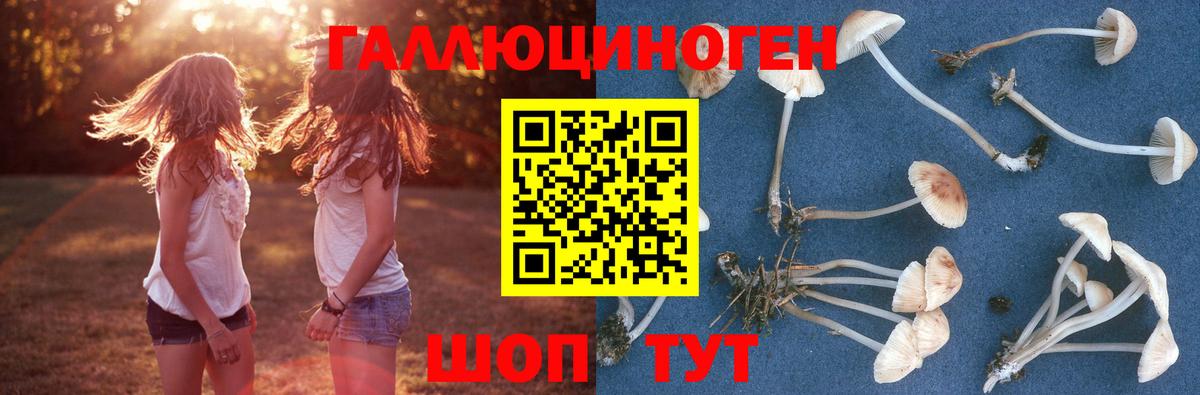 Галлюциногенные грибы прущие грибы  где купить наркоту  Октябрьский  Вход с VPN 